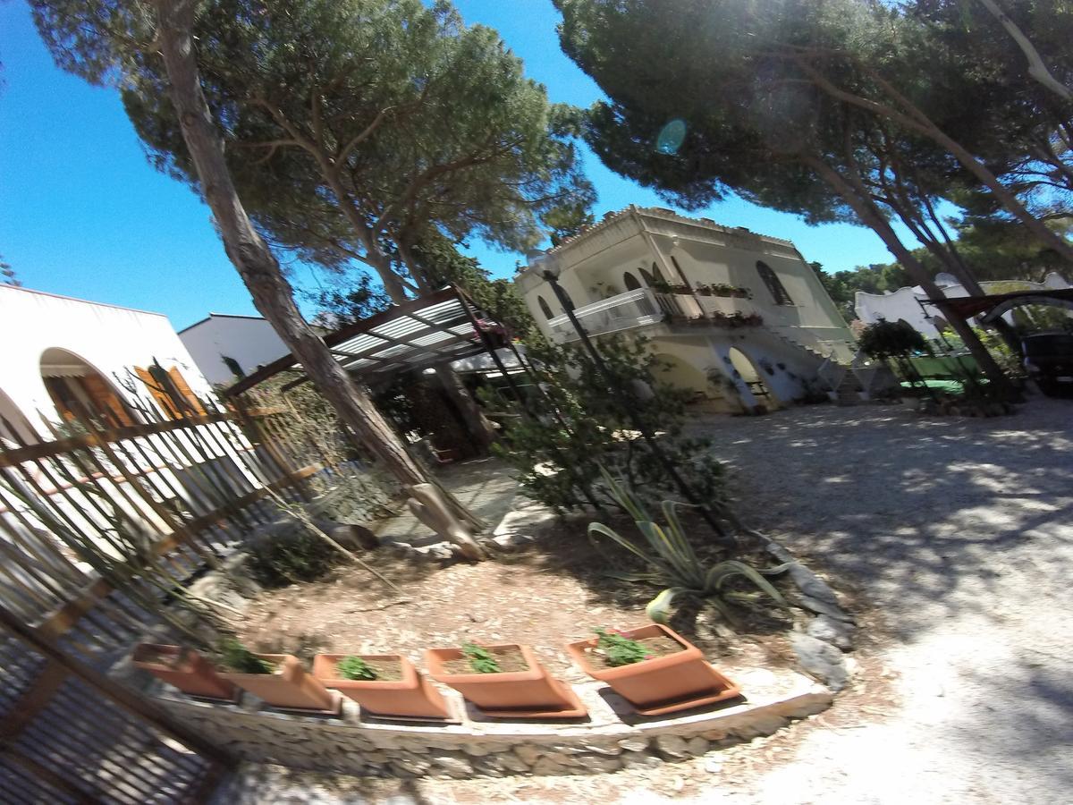 Villa Sul Porto San Vito Lo Capo Zewnętrze zdjęcie